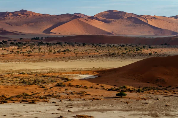 Gurun Pasir Merah Daerah Sossusvlei Namib Naukluft National Pak Namibia — Stok Foto