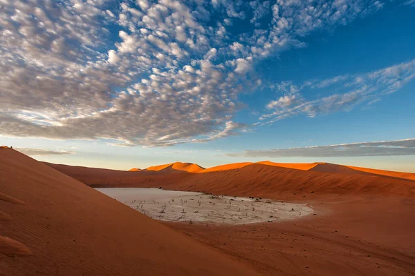 Pohon Mati Dengan Langit Mendung Yang Indah Dead Vlei Sossusvlei — Stok Foto