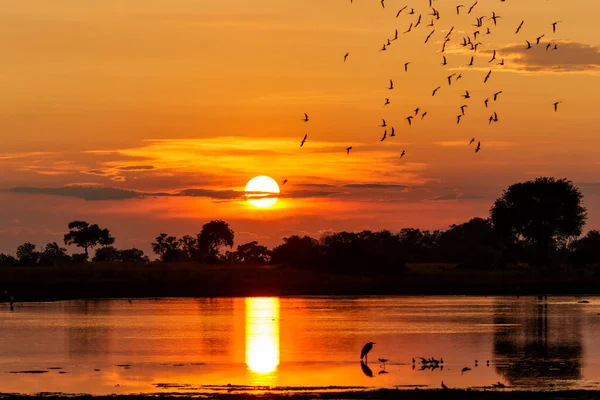 Matahari Terbenam Dengan Minuman Sundowner Danau Dengan Burung Burung Delta — Stok Foto