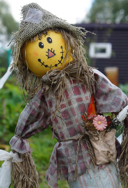 Funny scarecrow