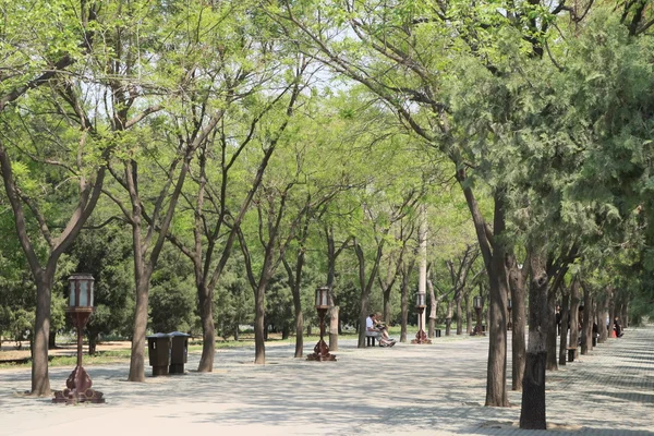 Yeşil park — Stok fotoğraf