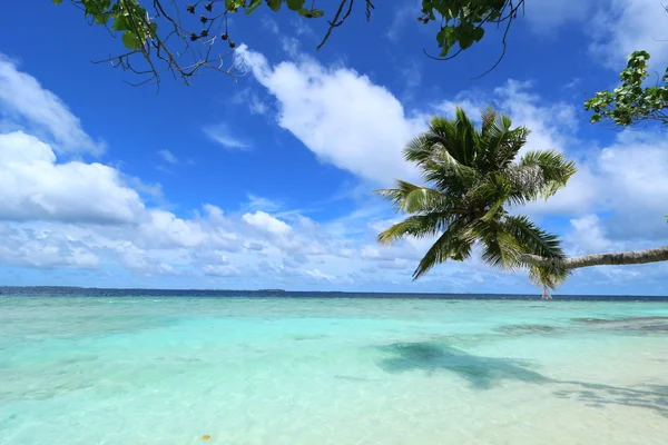 Paraíso — Foto de Stock