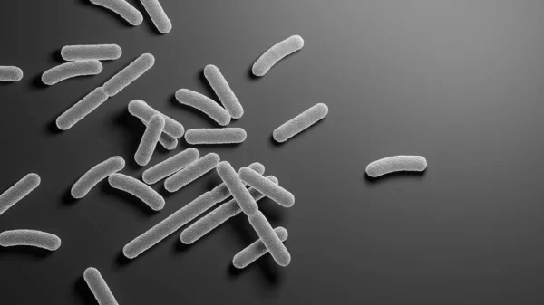 Bacteria. Bacterium. Black and white. Prokaryotic microorganisms. 3d illustration.