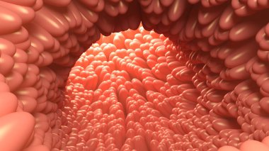 Intestinal villi. Human intestine. 3d illustration.