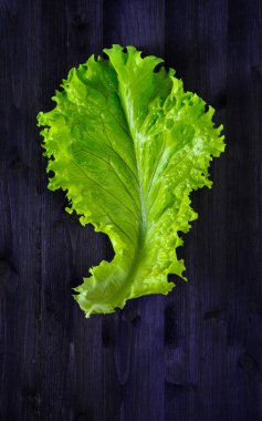 koyu arka plan üzerine marul yaprağı