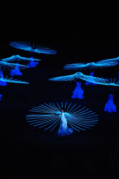 Dancers perform a "Dove of Peace" — Stock Photo, Image