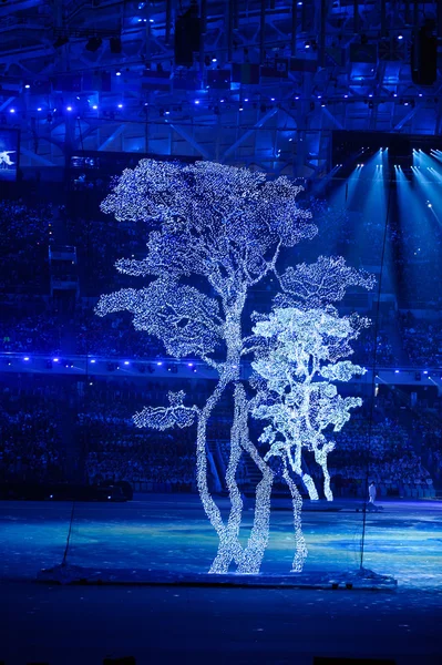 Actuación en la etapa de la ceremonia de clausura de Sochi 2014 — Foto de Stock