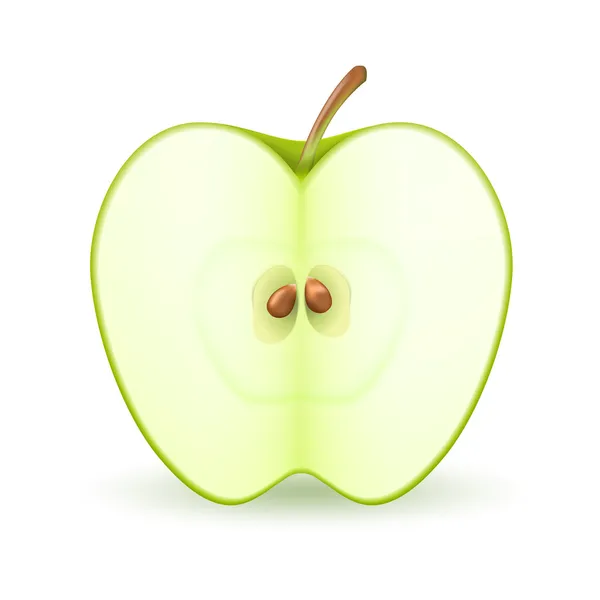 Manzana verde . — Vector de stock