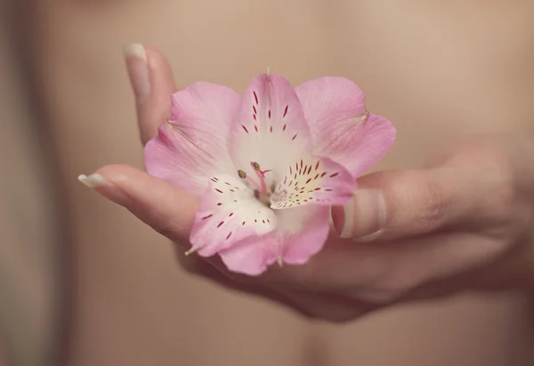 kadının önünde yumuşak çiçek