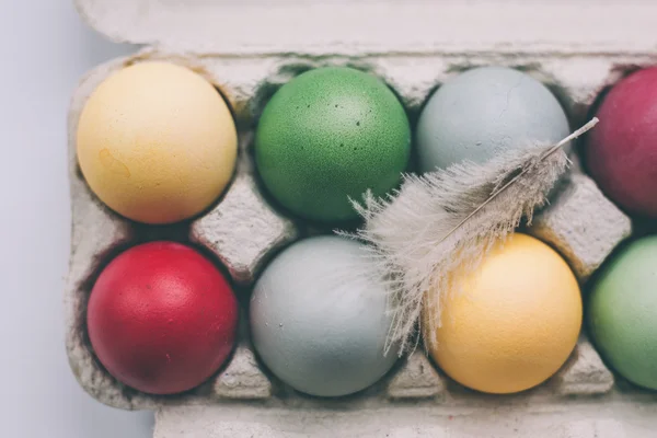 pastel renkli Paskalya yumurtaları tüy ile