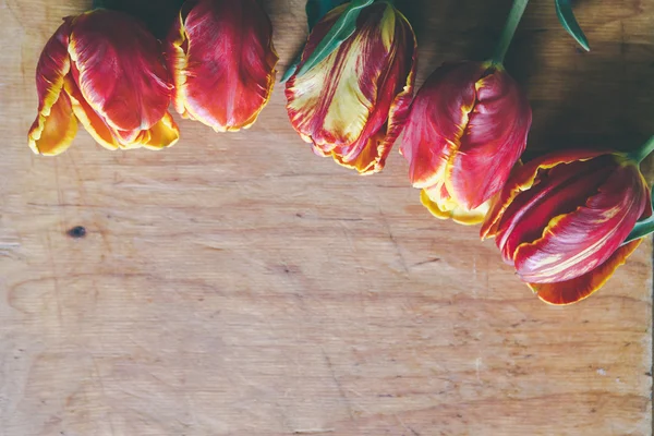 Tulipán kytice na dřevěné desce s volným místem — Stock fotografie