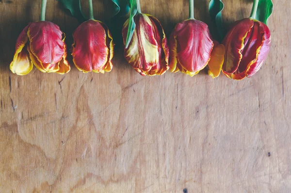 郁金香花束上具有可用空间的木板 — 图库照片