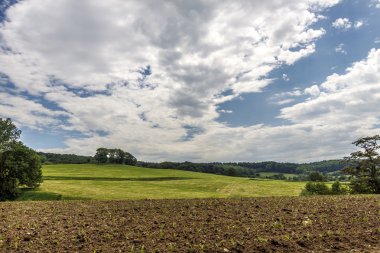 Yaz alanı ile bulutlu gökyüzü mavi