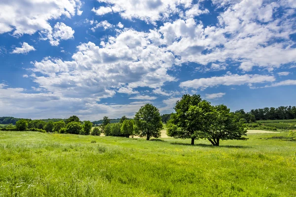 Champ d'été avec ciel bleu nuageux — Photo