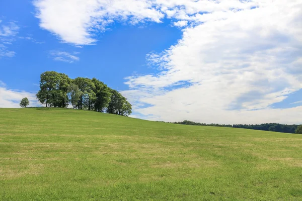 曇りの青い空と夏の畑 — ストック写真