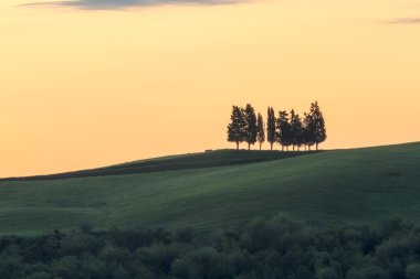 Sarı ışıkta Tuscan peyzaj