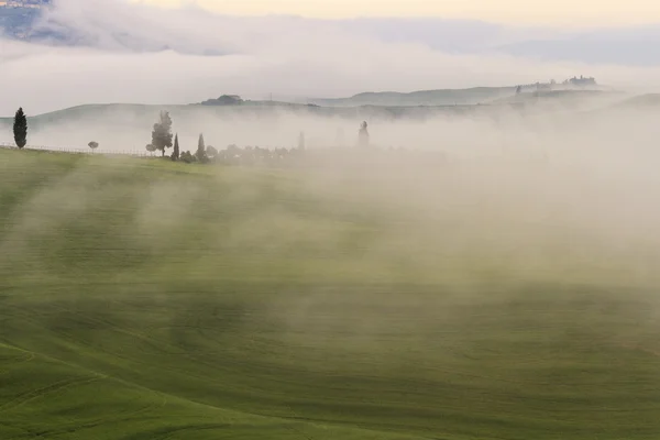 Misty Tuscan dawn — Stock Photo, Image