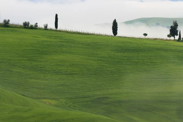 Misty toscano amanecer —  Fotos de Stock