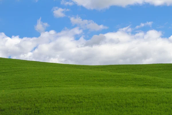 Zielone pole niebieskie niebo i chmury — Zdjęcie stockowe
