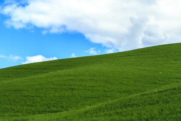 Campo verde céu azul e nuvens — Fotografia de Stock