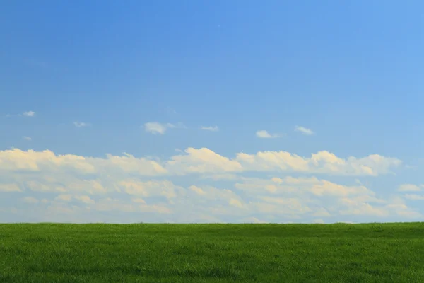 Зелене поле, блакитне небо з низькими хмарами — стокове фото