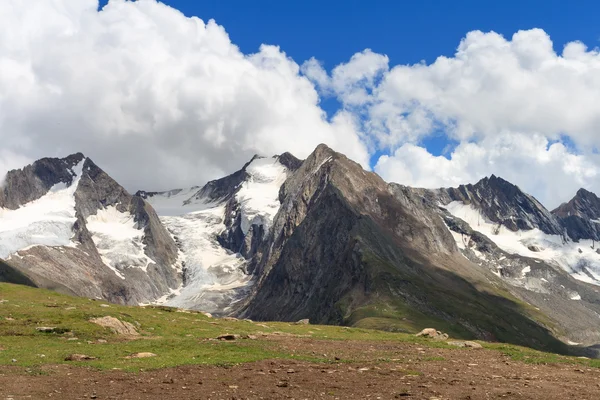 Gletsjer en weide in de Alpen — Stockfoto