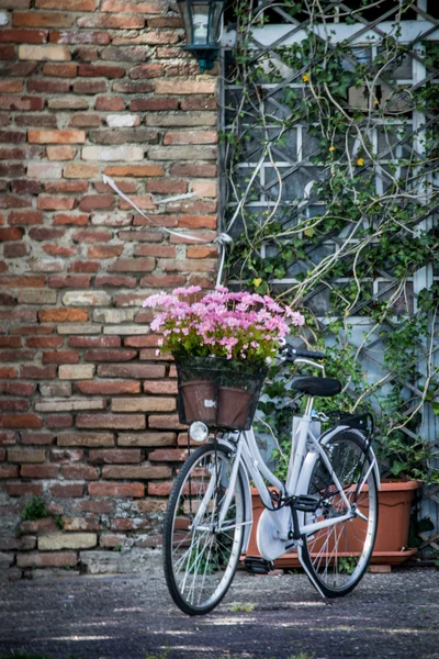 Bicicleta com Folwers — Fotografia de Stock