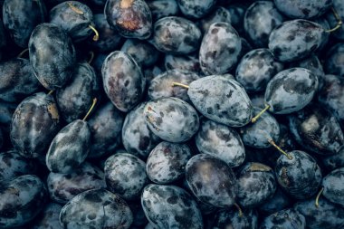 Arkaplan olarak birçok olgun erik