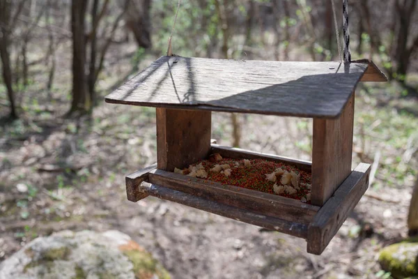Birdhouse Filled Feed Autumn Park — Stock Photo, Image