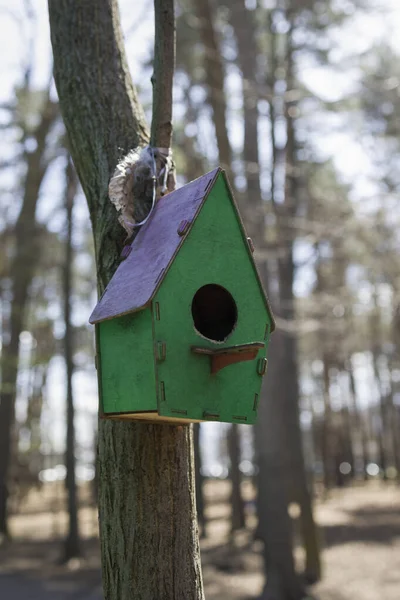 Birdhouse Tree Close View — Stock Photo, Image