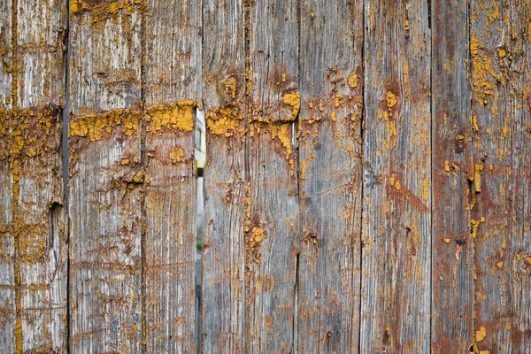Starý Ošlehaný Dřevěný Plot Pokrytý Žlutými Malířskými Vločkami Rustikální Styl — Stock fotografie