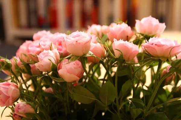 Roses — Stock Photo, Image