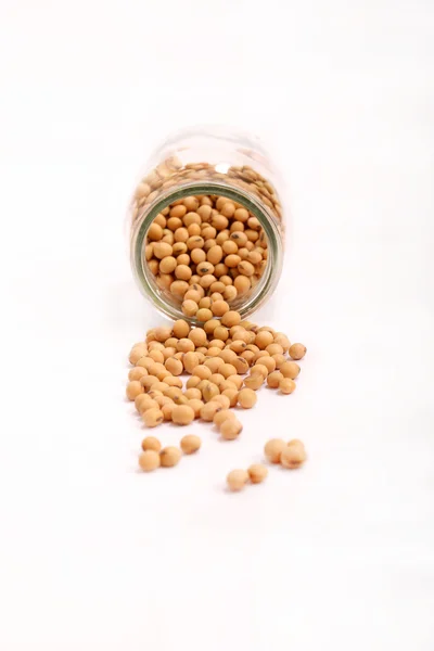 Soybean — Stock Photo, Image