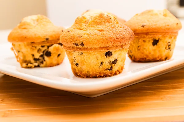 Vanilla with chocolate chips Muffins — Stock Photo, Image