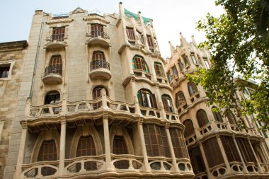 bir Palma de mallorca cepheler