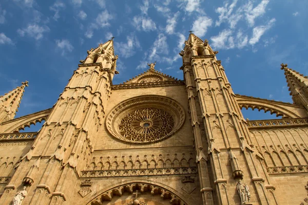 La Seu Katedrali — Stok fotoğraf