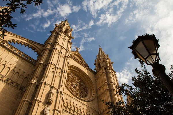 Cathedral La Seu — Stock Photo, Image