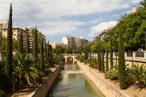 Torrente de la Riera, Passeig Mallorca — Stock fotografie