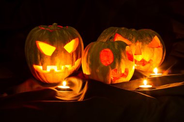 Halloween pumpkins karanlıkta