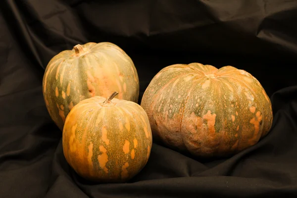 Calabazas — Foto de Stock