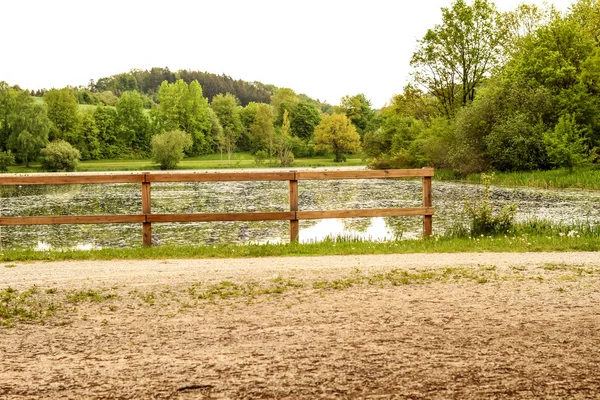 See im Wald — Stockfoto