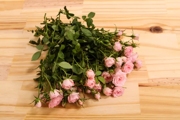 Roses — Stock Photo, Image