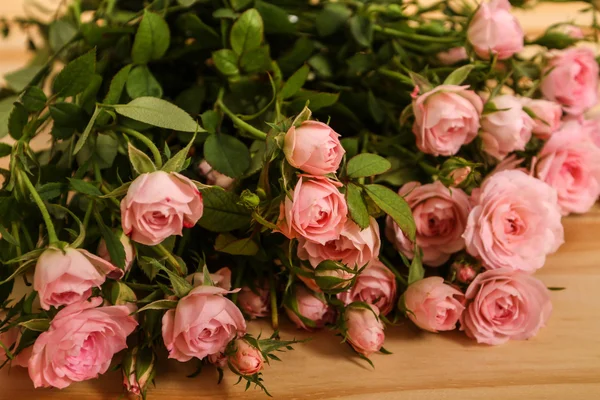 Roses — Stock Photo, Image