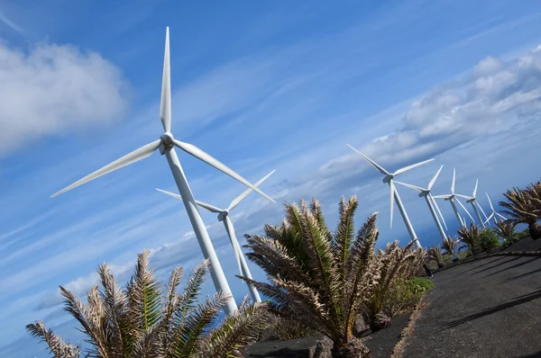 Windkraftanlagen — Stockfoto