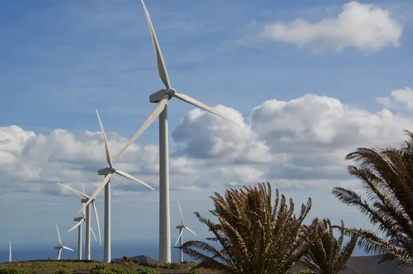 Wind turbines — Stock Photo, Image