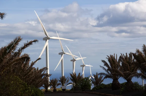 Windkraftanlagen — Stockfoto