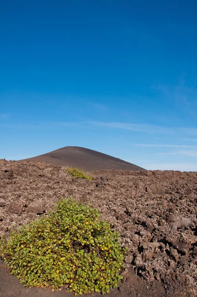 Peisaj vulcanic în Lanzarote — Fotografie, imagine de stoc