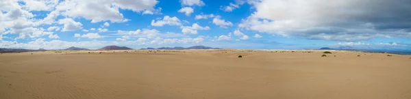 Park of Corralejo. Fuerteventura — Stock Photo, Image