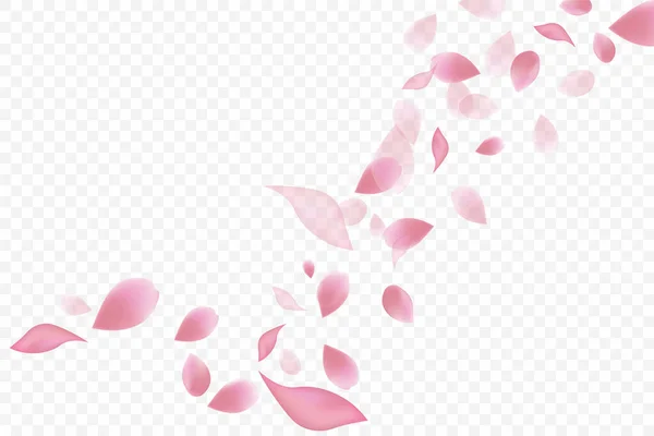Falling Pink Rose Petals Isolated White Background Vector Illustration Beauty Vector Graphics