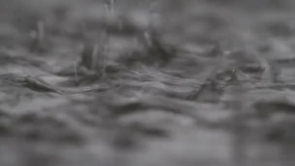 Yaz Ormanlarında Gölde Sağanak Yağmur Yakın — Stok video
